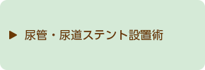 尿管・尿道ステント設置術