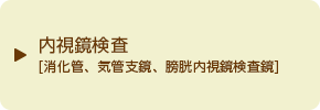内視鏡検査